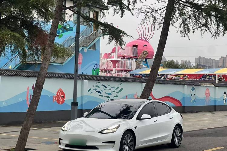 Used Tesla Model 3 2021 Revised Version Standard Range Rear-Wheel Drive Upgraded Edition 3D1
