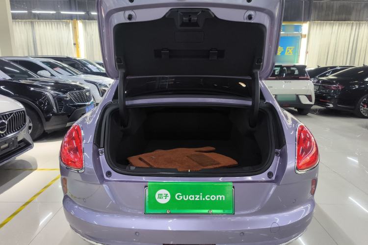 Used ORA Lightning Cat 2022 555 km Luxury Edition