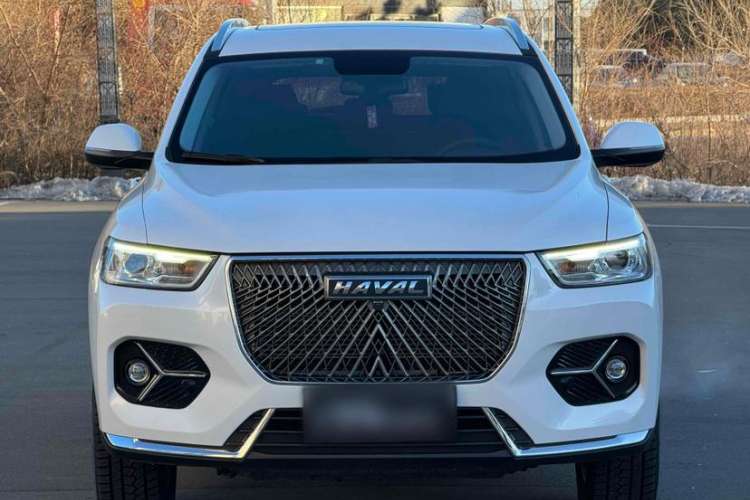 Used Haval H6 2021 National Trend Edition 1.5T Automatic Urban Version

