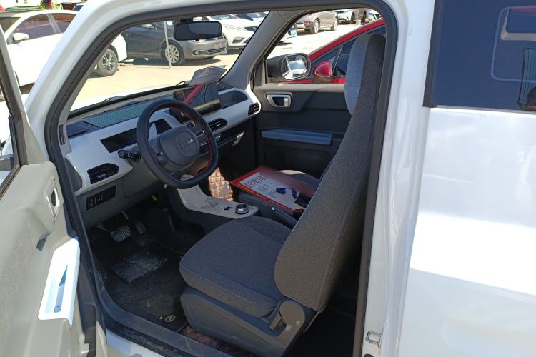 Used  Panda 2023 Panda Mini 200km Endurance Bear
