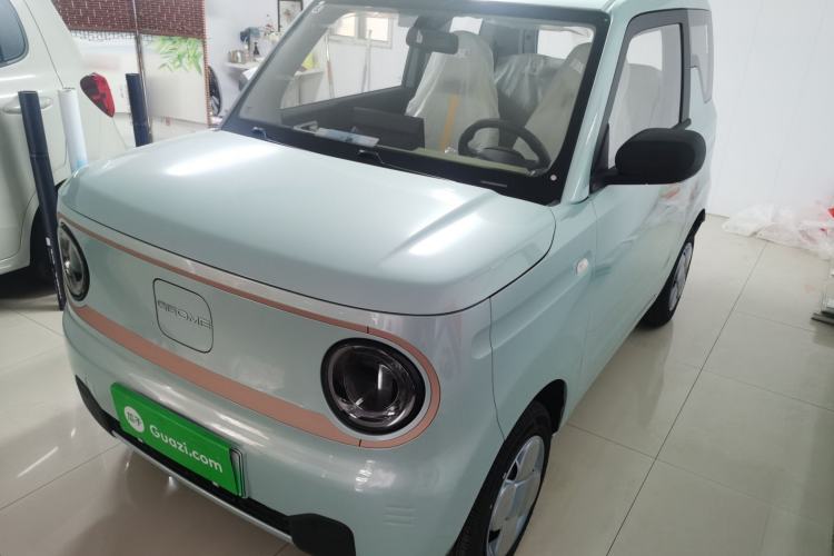 Used  Panda 2024 Panda Mini 200km Endurance Bear
