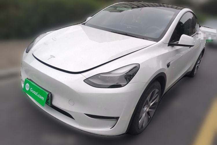 Used Tesla Model Y 2021 Standard Range Rear-Wheel Drive Version
