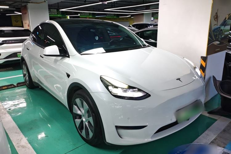Used Tesla Model Y 2021 Standard Range Rear-Wheel Drive Version
