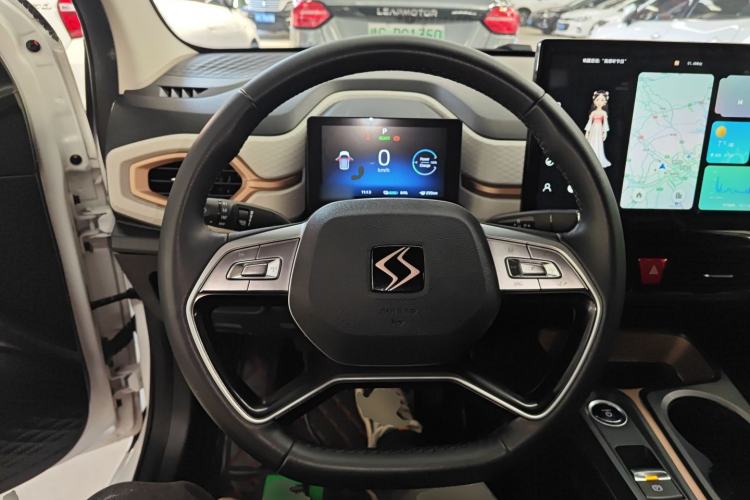 Used SOL E10X 2022 Flower Fairy Style Baby's Breath
