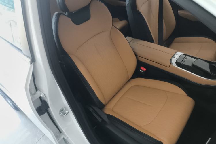 Used Livan Livan 7 2024 605 km Glory Edition