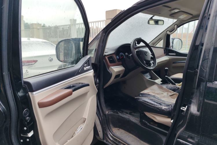 Used FORTHING Lingzhi 2020 M5 1.6L Practical Model