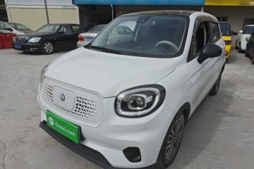 Used Leapmotor T03 2020 400 Luxury Edition