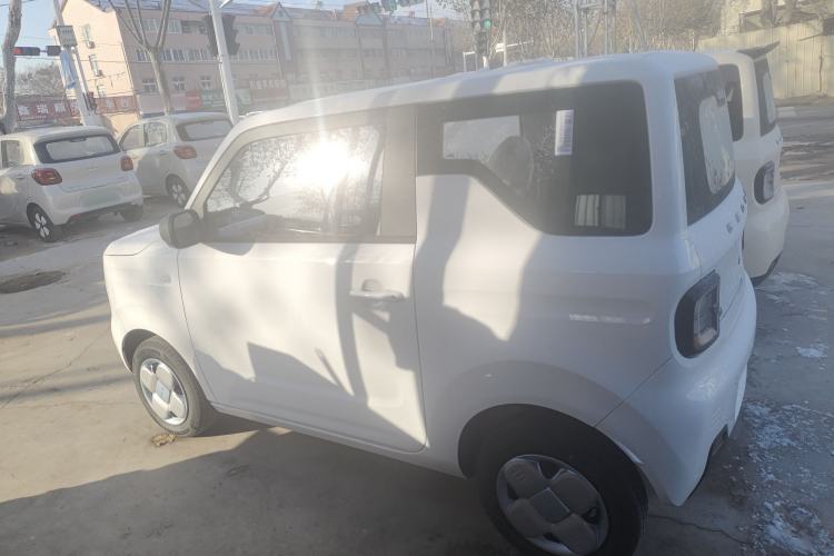 Used  Panda 2024 Panda Mini 200km Endurance Bear