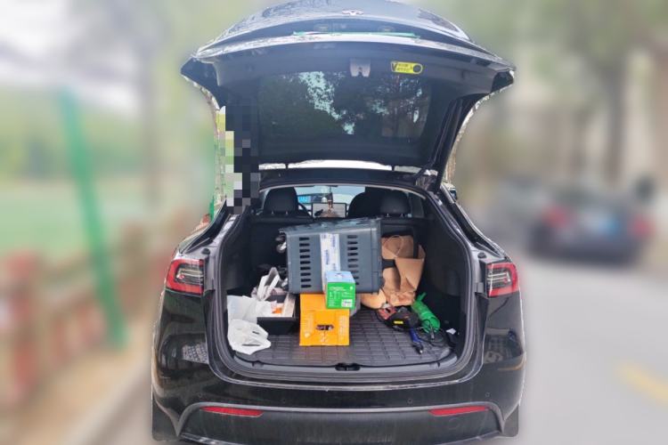 Used Tesla Model Y 2022 Revised Version Rear-Wheel Drive