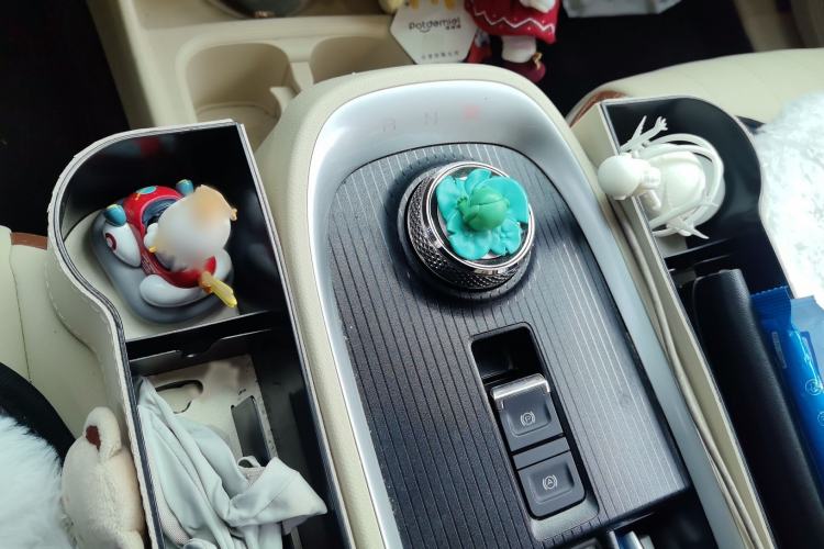 Used ORA Good Cat 2021 400km Standard Range Athena Edition Lithium Iron Phosphate
