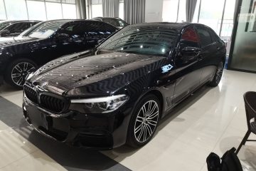 Used BMW 5 Series 2019 530Li Leading Model M Sport Package