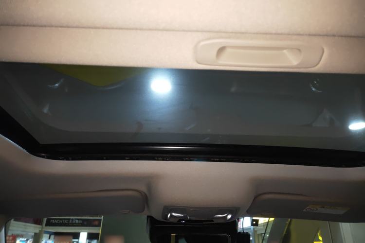 Used Tank 300 2021 City Edition 2.0T My Vision Model
