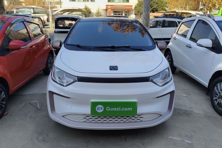 Used SOL E10X 2022 Flower Fairy Design Four-Leaf Clover