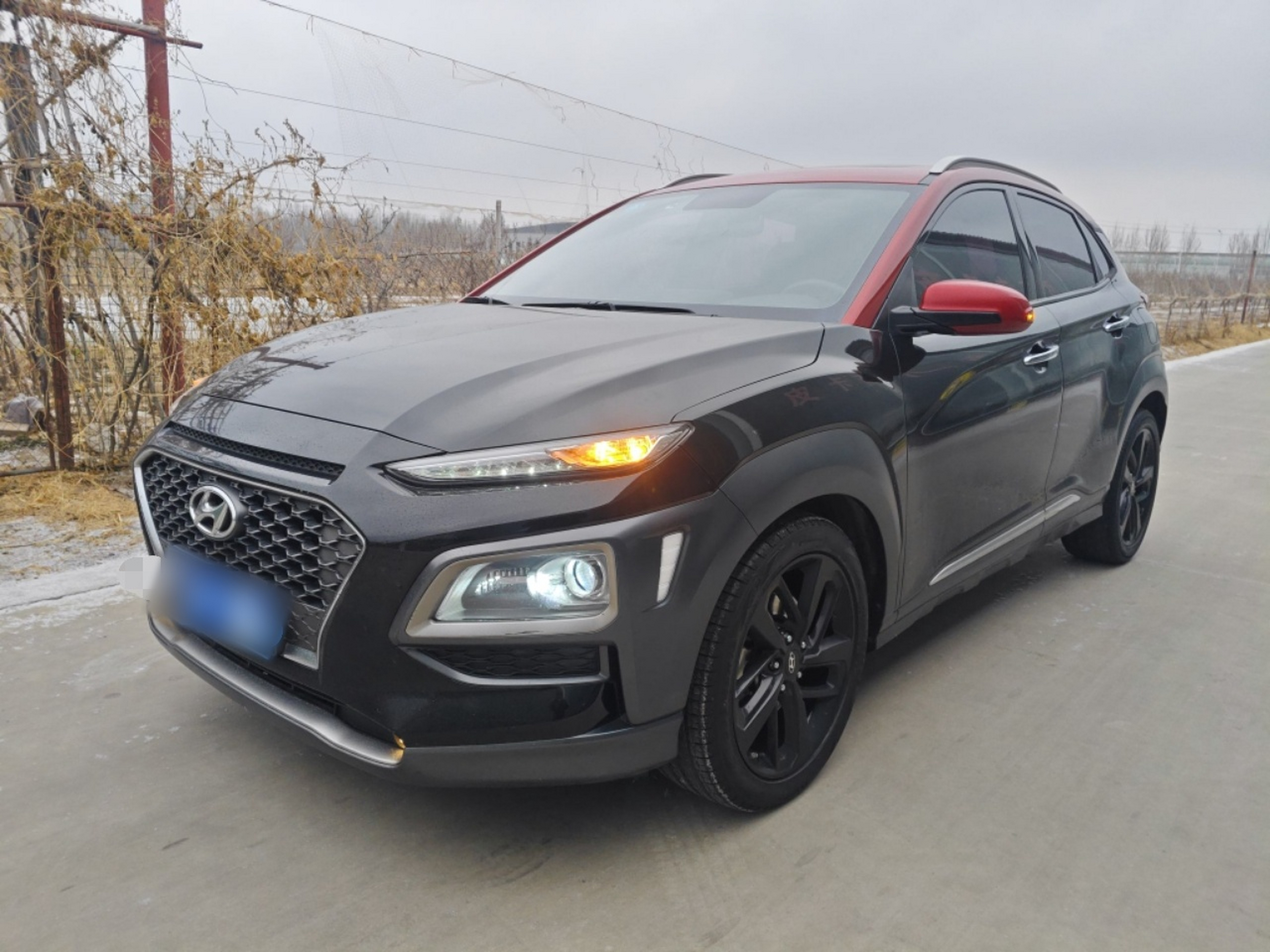 تحت مقدمة السيارة