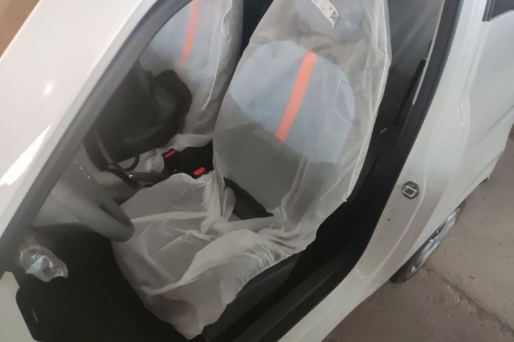 Used  Panda 2024 Panda Mini 200km Endurance Bear