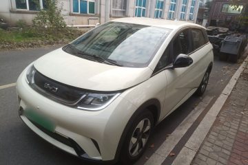 Used BYD Dolphin 2025 420km Free Edition