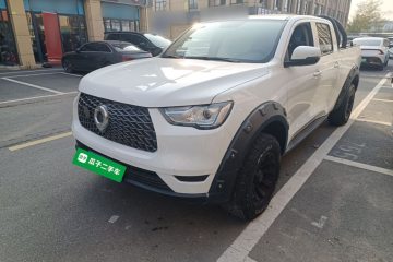 Used Great Wall Poer 2019 2.0T Commercial Version Manual Diesel Two-Wheel Drive Elite Long-Box GW4D20M