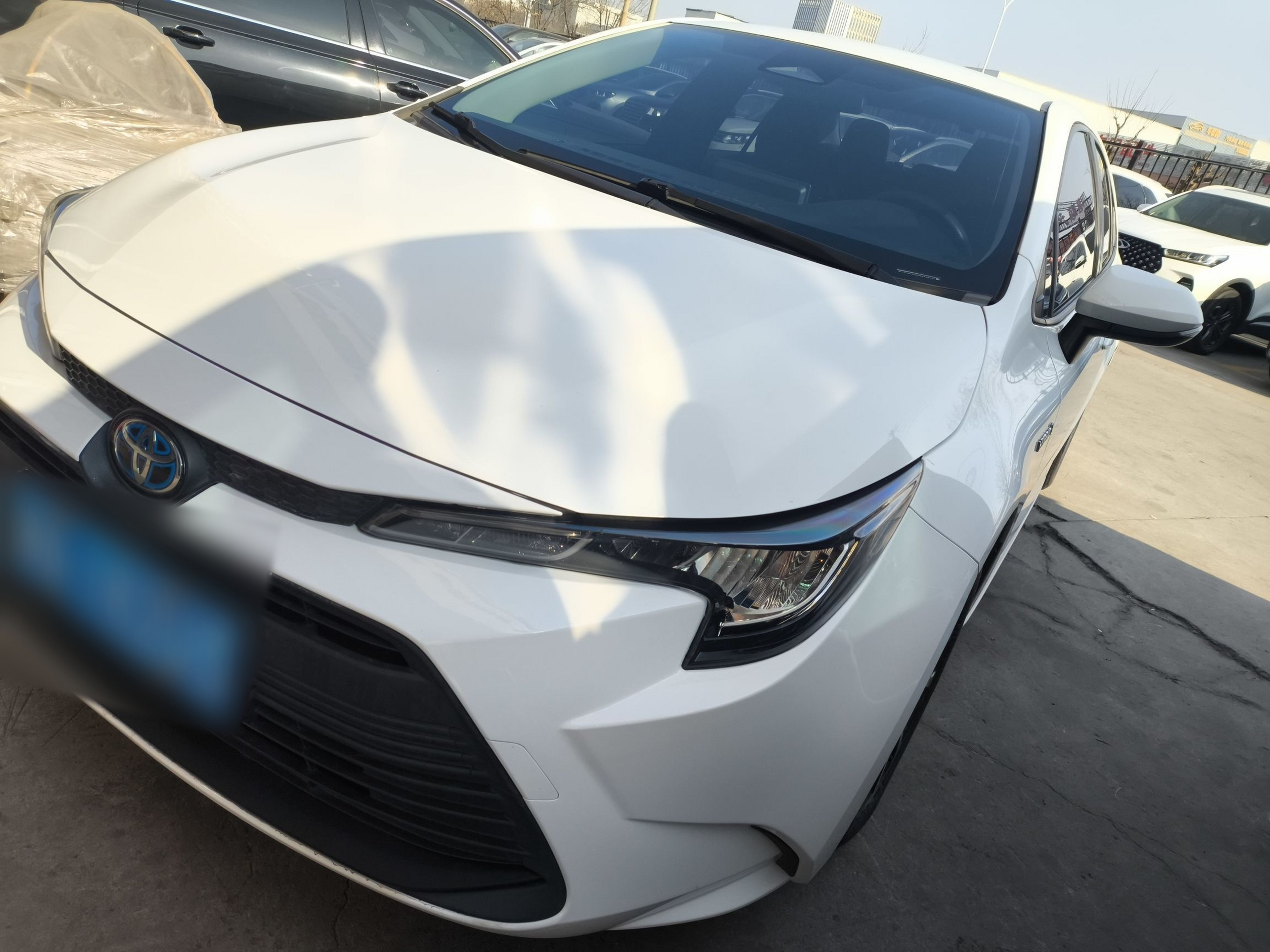 تحت مقدمة السيارة