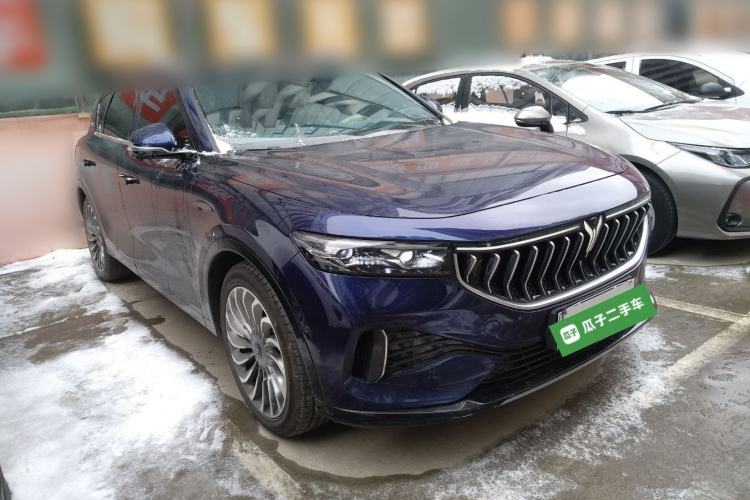 Used VOYAH FREE 2021 Four-Wheel Drive Standard Range-Extended Exclusive Luxury Package
