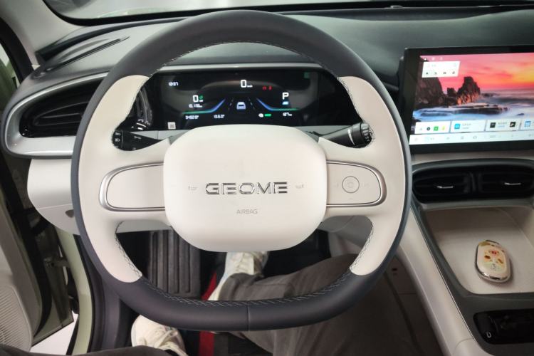 Used  Geome 2025 310km Youth Edition