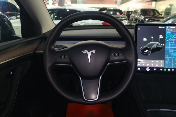 Used Tesla Model Y 2021 Standard Range Rear-Wheel Drive Version
