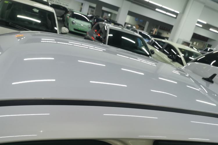 Used ORA Black Cat 2022 Updated Version 301 km Cute Pet Edition Lithium Iron Phosphate