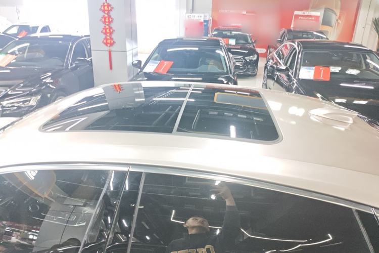 Used Hongqi H9 2020 2.0T Smart Connect Flagship Edition