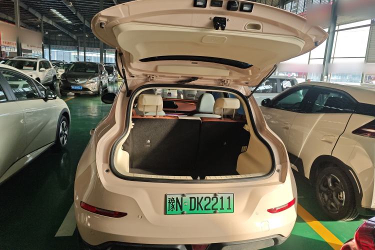 Used ORA Good Cat 2023 401 km Standard Range Luxury Version Lithium Iron Phosphate
