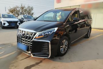 Used Buick GL8 2017 ES 28T Flagship Model China V Standard