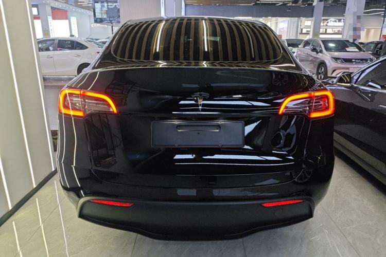 Used Tesla Model Y 2021 Standard Range Rear-Wheel Drive Version
