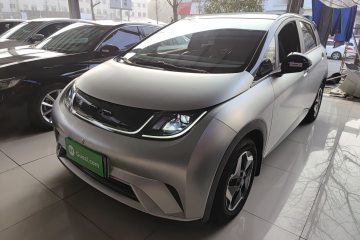 Used BYD Dolphin 2021 405 km Free Version