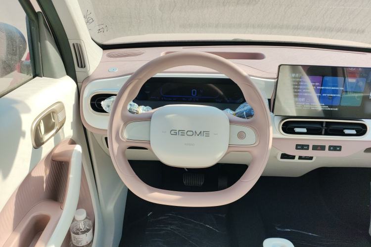 Used  Panda 2025 210 km – Yuanqi Bear
