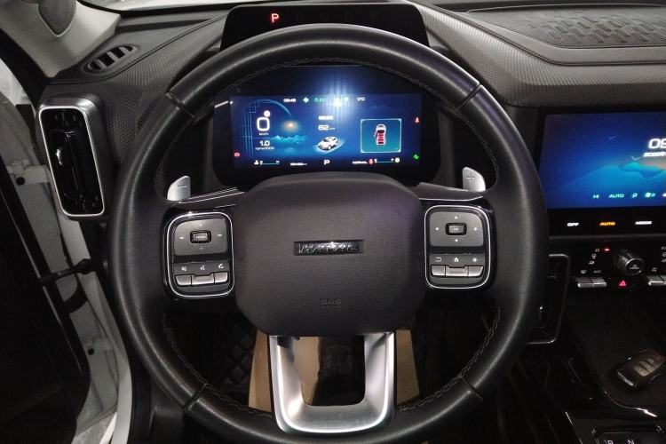 Used Haval DARGO 2021 2.0T DCT 4x4 Chinese Rural Dog Edition
