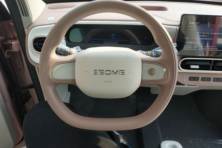 Used  Panda 2025 210 km – Yuanqi Bear
