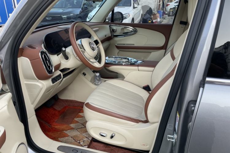 Used ORA Ballet Cat 2023 401 km Luxury Version
