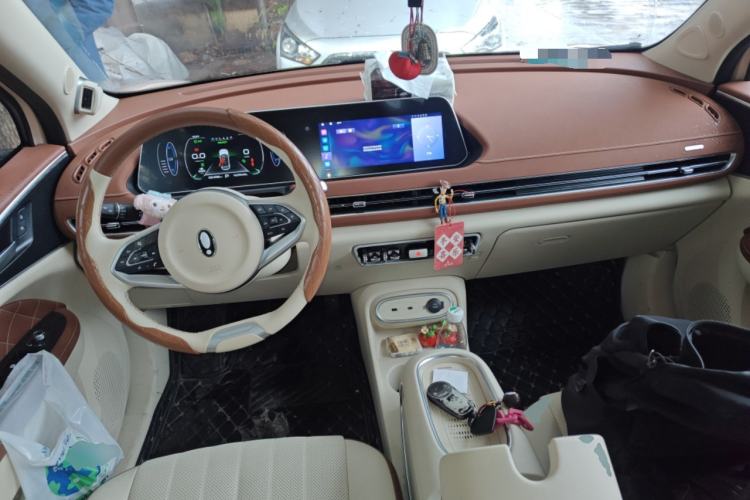 Used ORA Good Cat 2023 401 km Standard Range Prestige Version Lithium Iron Phosphate
