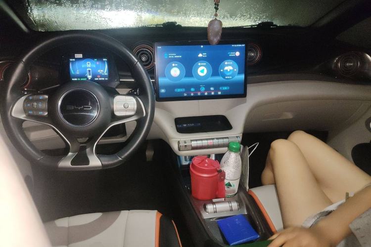 Used BYD Dolphin 2021 405 km Free Version
