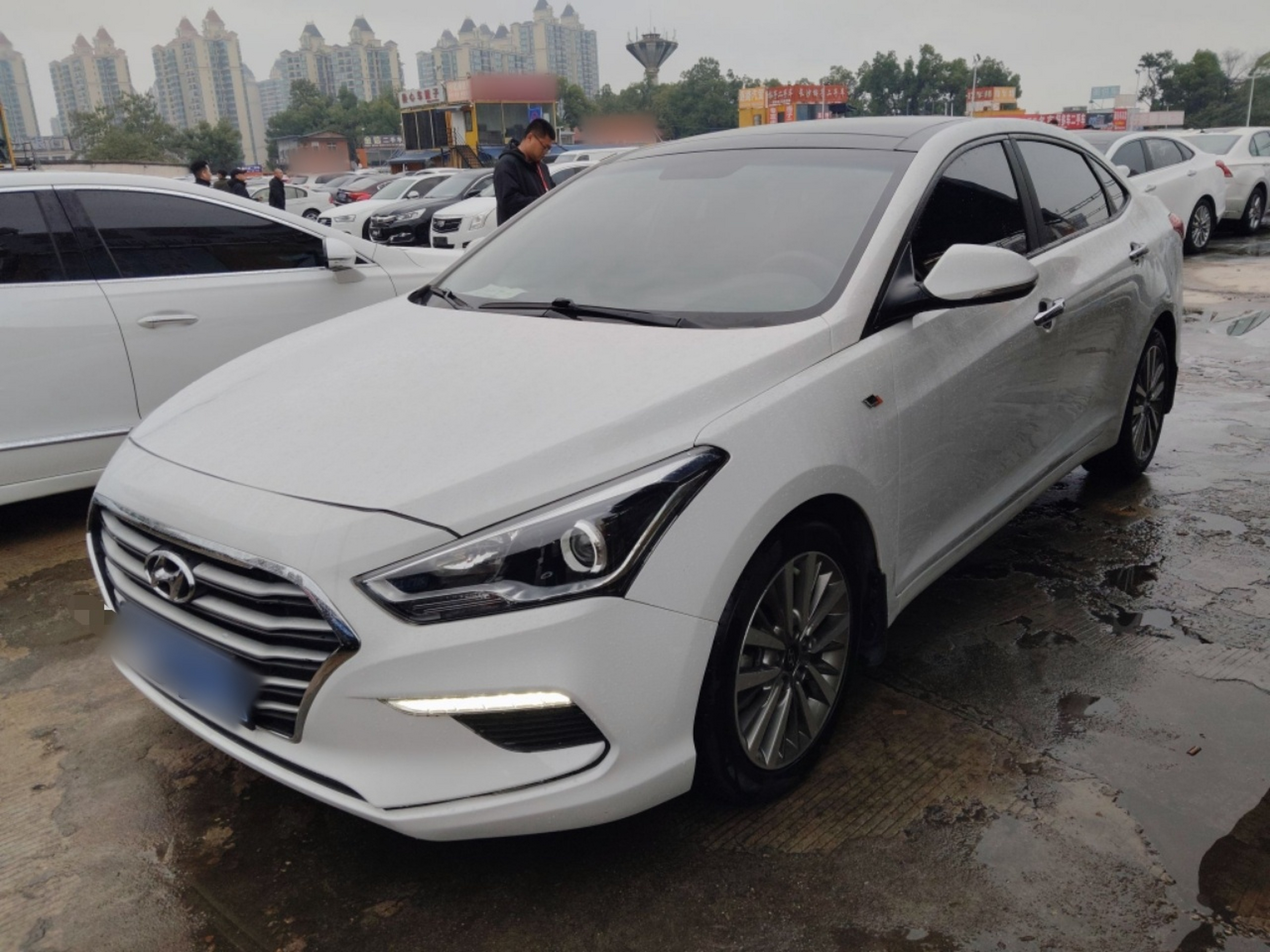 تحت مقدمة السيارة