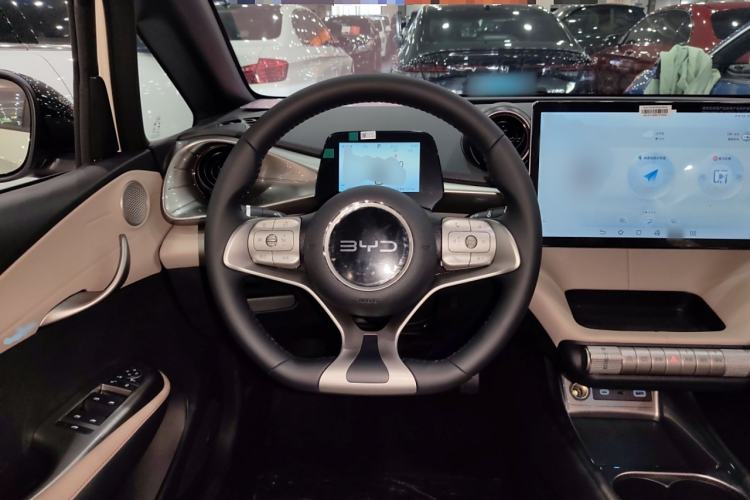 Used BYD Dolphin 2025 420km Free Edition
