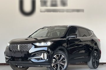 Used Wey VV6 2021 2.0T Two-Wheel Drive Smart Protection+