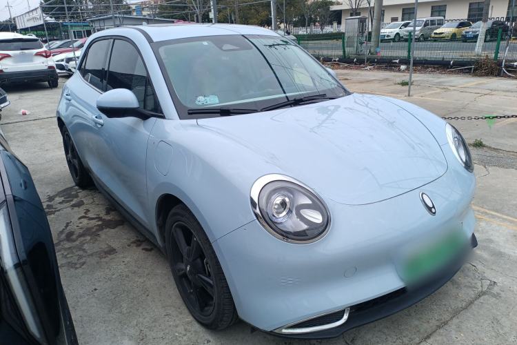 Used ORA Good Cat 2024 501 km Luxury Version