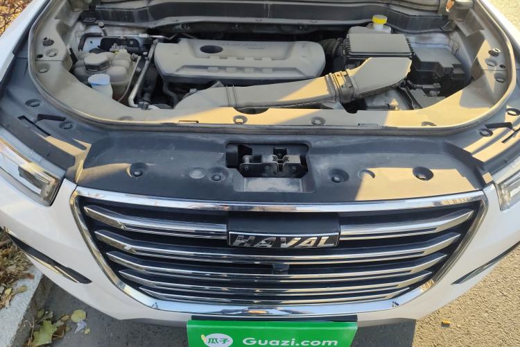 Used Haval H6 2020 2.0 GDIT Automatic Platinum Champion Edition
