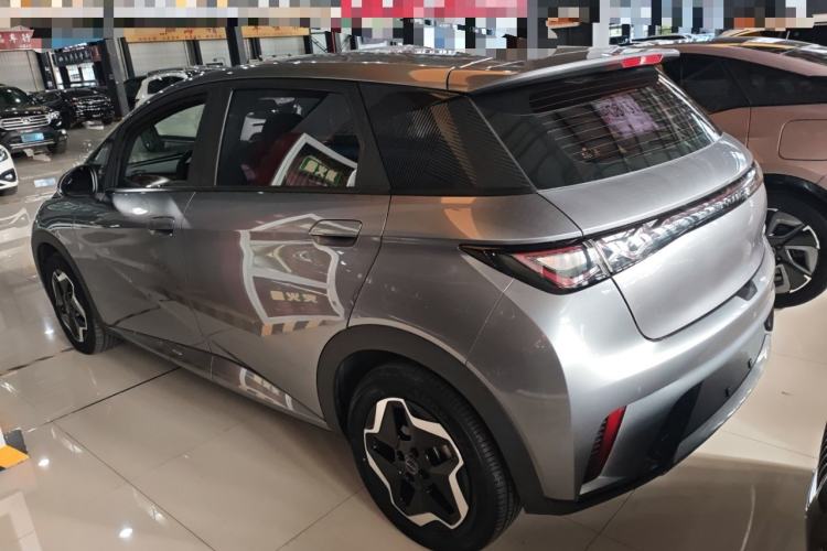 Used BYD Dolphin 2021 405 km Free Version