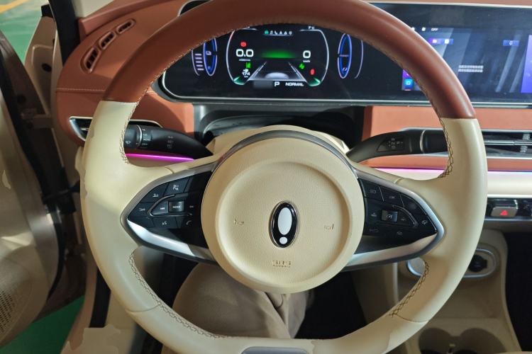 Used ORA Good Cat 2023 401 km Standard Range Luxury Version Lithium Iron Phosphate
