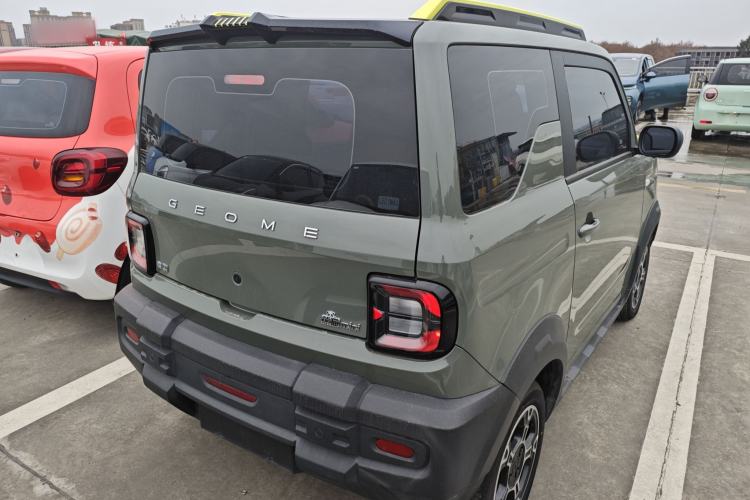 Used  Panda 2024 200km Panda Rider