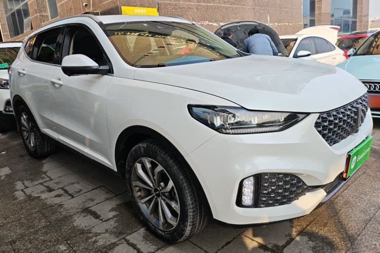 Used Wey VV6 2020 2.0T Two-Wheel Drive Smart Protection+