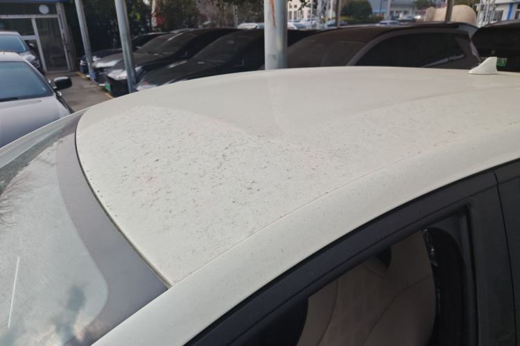 Used BYD Dolphin 2025 420km Free Edition