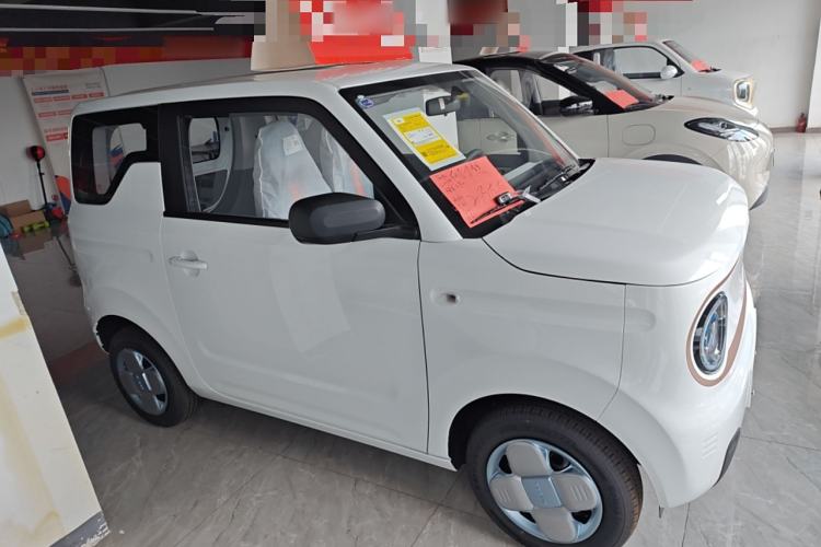 Used  Panda 2024 Panda Mini 200km Endurance Bear