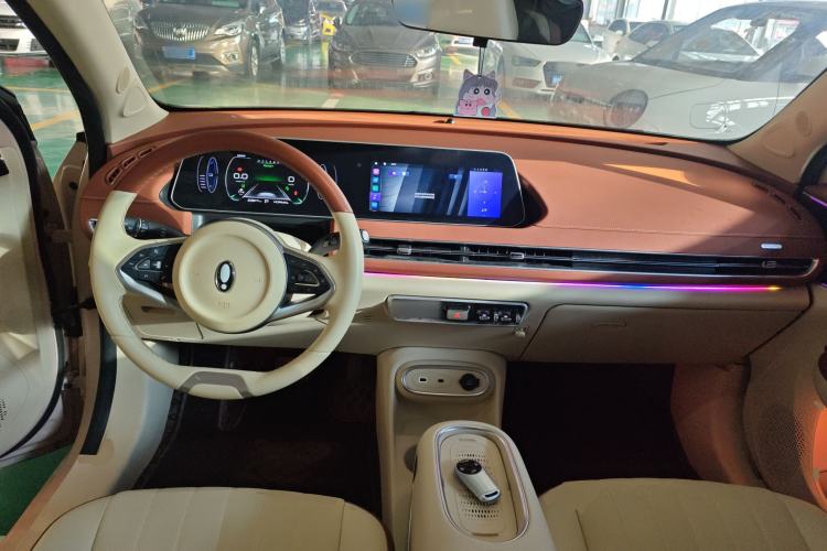 Used ORA Good Cat 2023 401 km Standard Range Luxury Version Lithium Iron Phosphate
