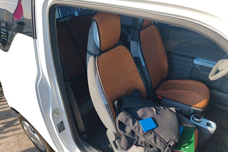 Used  Panda 2024 Panda Mini 200km Dragon Edition
